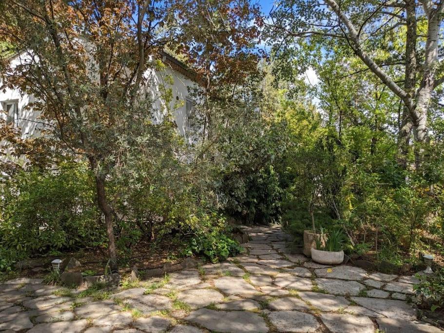 Maison Spacieuse Et Lumineuse 4 Personnes Lavilledieu  Bagian luar foto