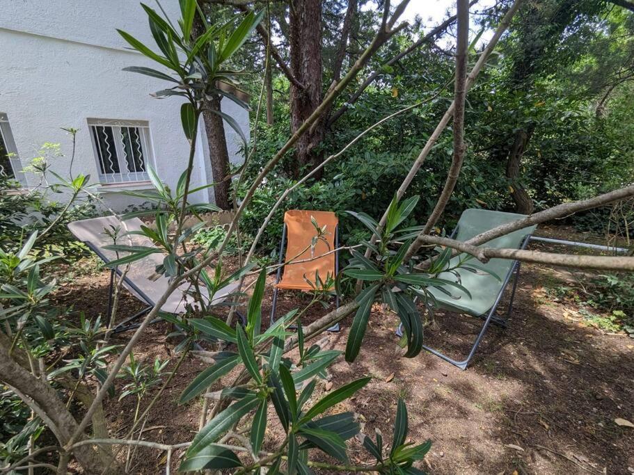 Maison Spacieuse Et Lumineuse 4 Personnes Lavilledieu  Bagian luar foto